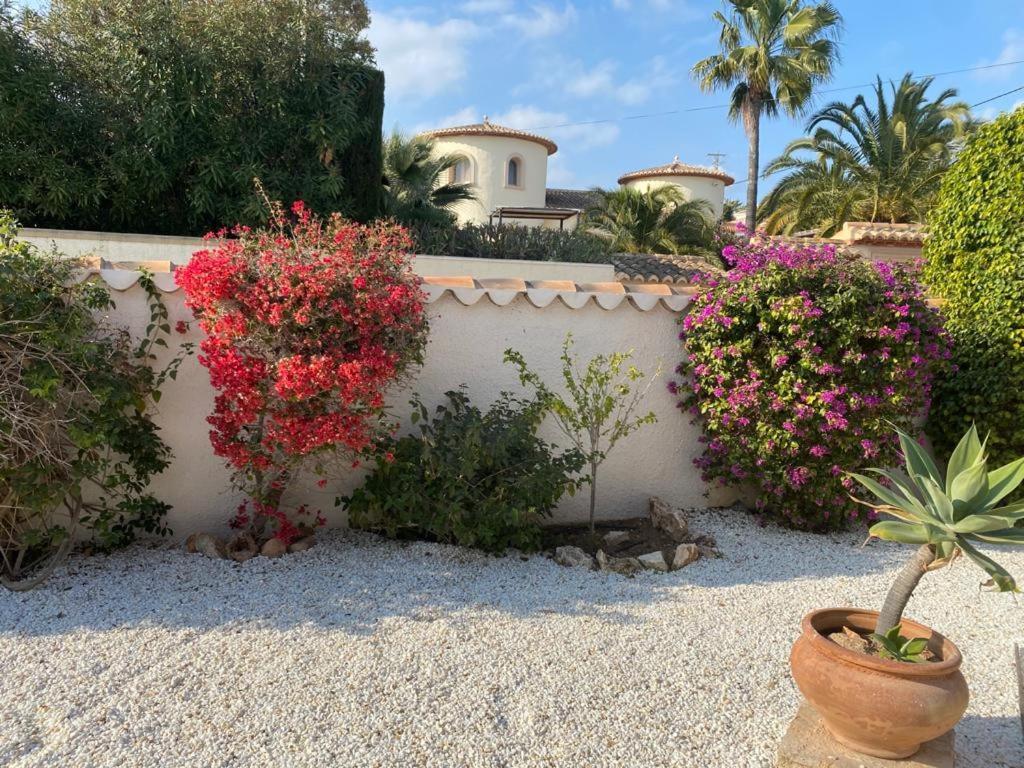 The Best Holiday Villa Calpe Exterior photo
